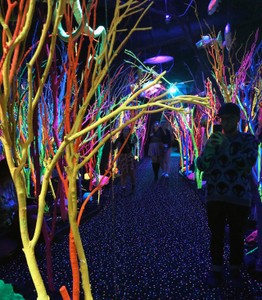 Meow Wolf Neon Forest