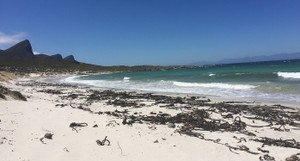 Beaches at Cape Point