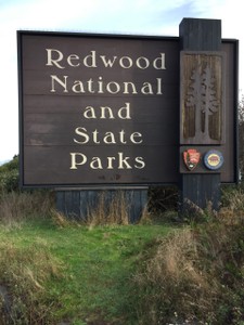 Redwoods National Park Sign